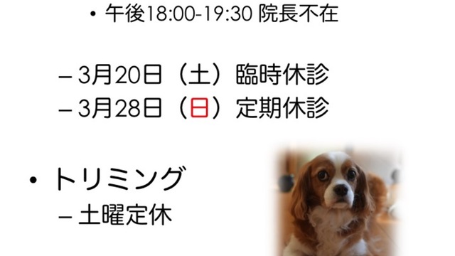 2021年3月の休診情報の画像