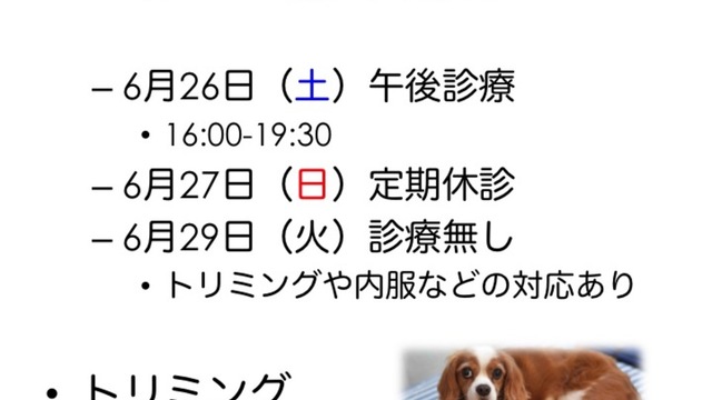 5月、6月の休診情報 と 診療・受付時間変更のお知らせの画像
