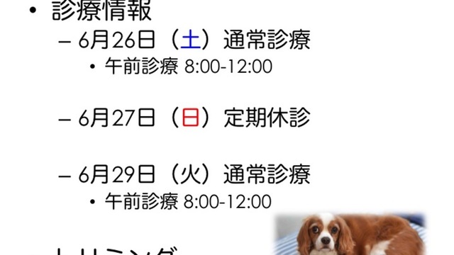 6月の休診情報（変更あり）の画像