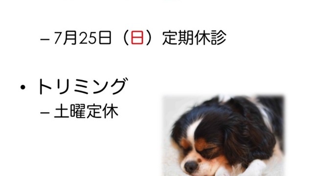 7月、8月の診療情報の画像