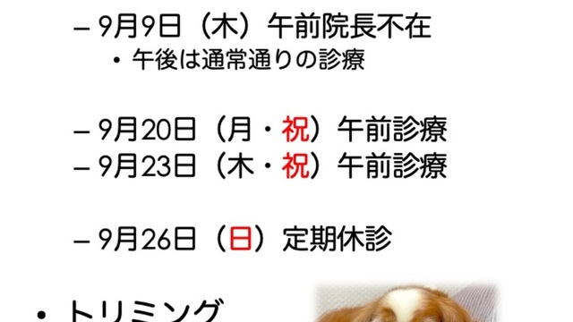 9月の診療情報の画像