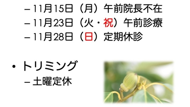11月の診療情報の画像