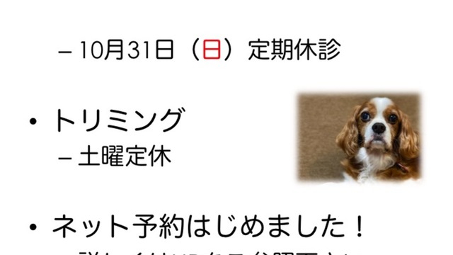 10月の診療情報の画像