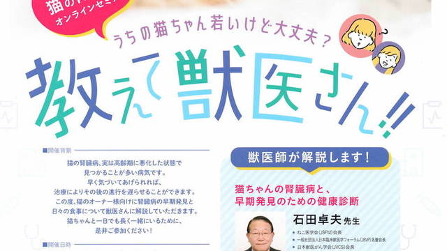 ペットオーナー様向けセミナーのご案内（猫ちゃんの腎臓病）の画像