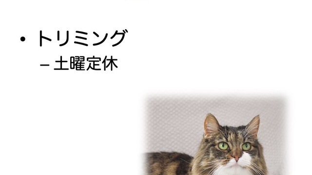 2022年6月の診療情報の画像