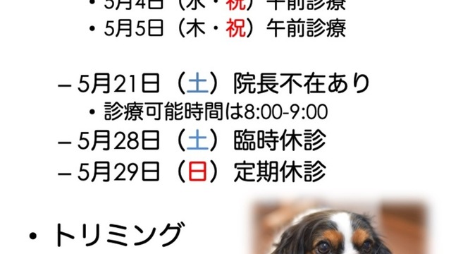 2022年5月の診療情報の画像