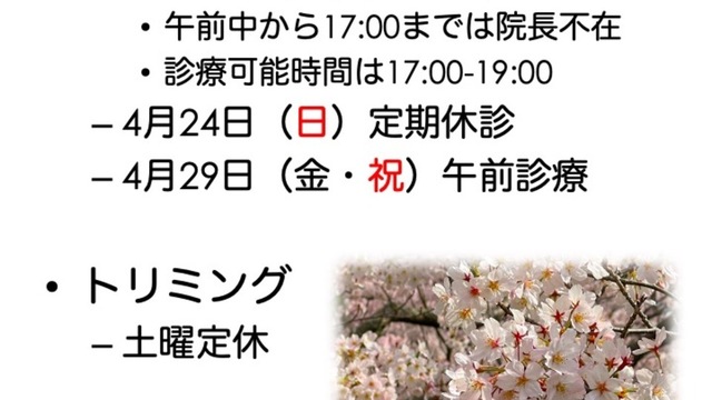2022年4月の診療情報の画像