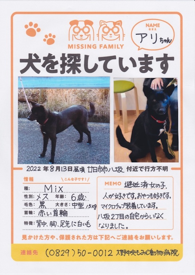 緊急＊迷子犬情報です！→見つかりました！！ | お知らせ | 新着情報
