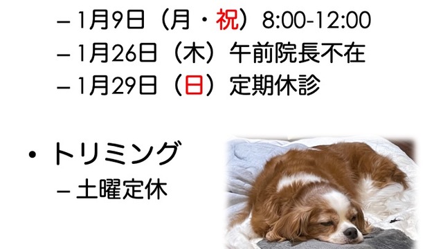 2023年1月の診療情報の画像