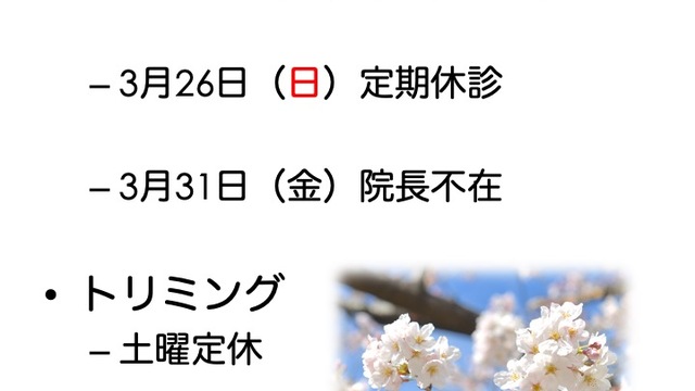 の画像
