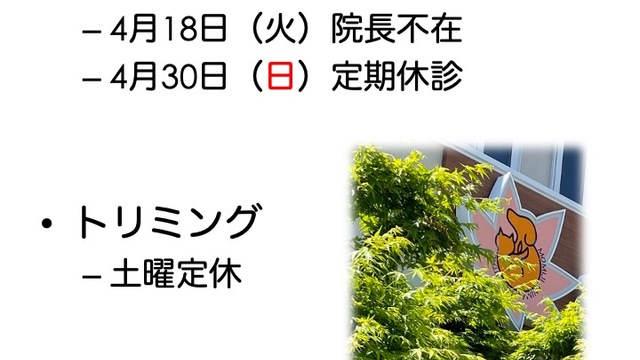 2023年4月の診療情報の画像