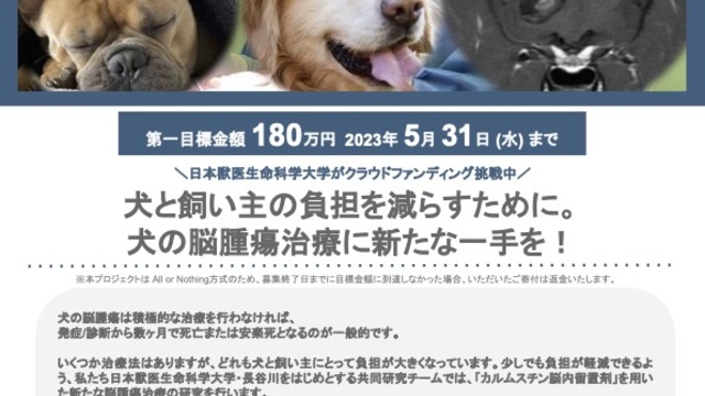 クラウドファンディング（犬の脳腫瘍治療）の画像