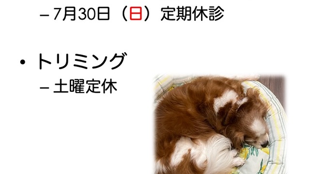 2023年7月の診療情報の画像