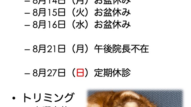 2023年8月の診療情報の画像