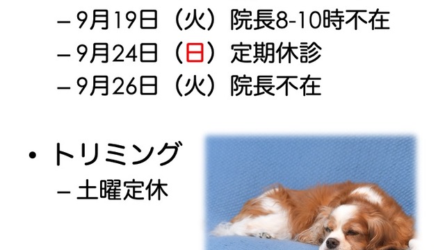 2023年9月の診療情報の画像