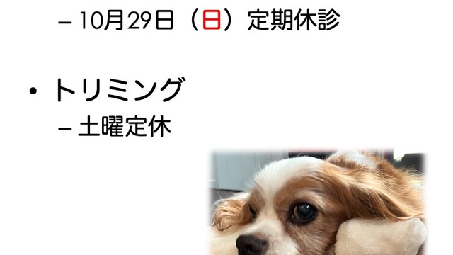 2023年10月の診療情報の画像