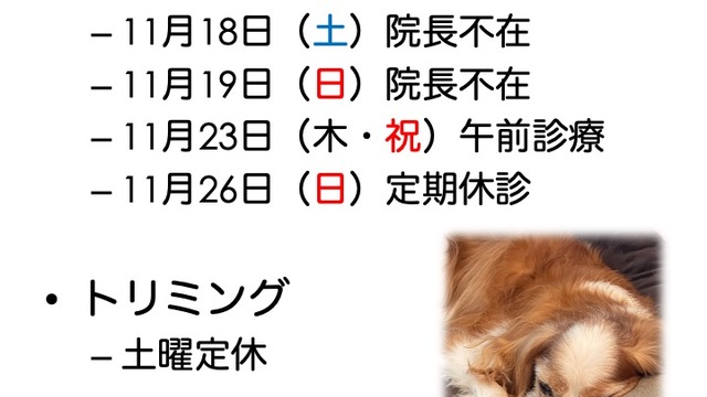 2023年11月の診療情報の画像