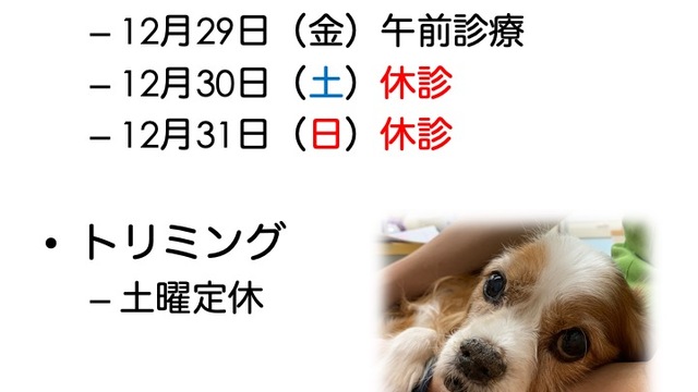 2023年12月の診療情報の画像