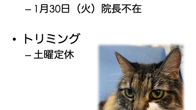 2024年1月の診療情報の画像