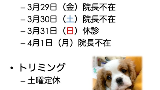 2024年3月の診療情報の画像