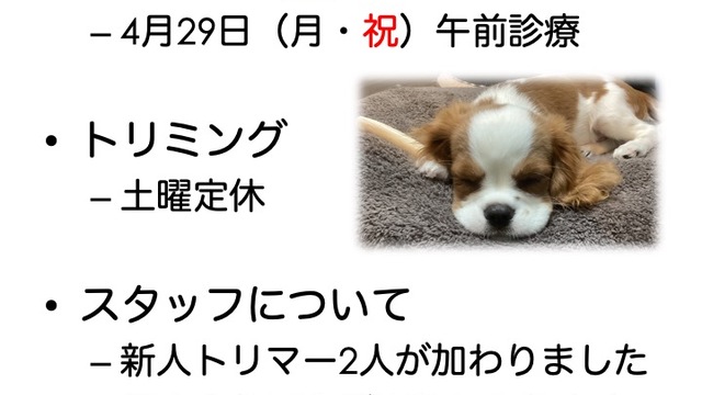 2024年4月の診療情報の画像