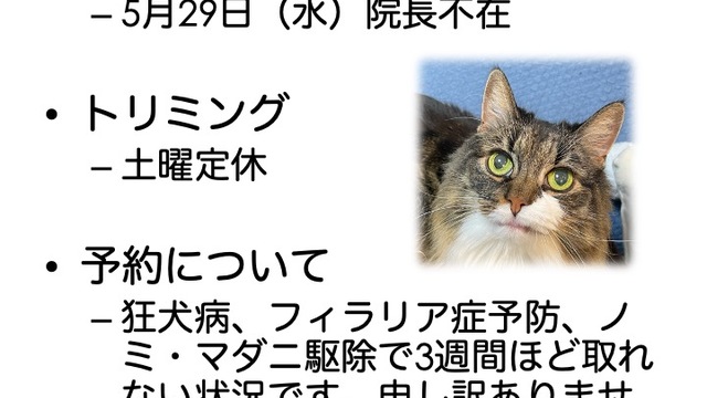 2024年5月の診療情報の画像