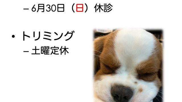 2024年6月の診療情報の画像