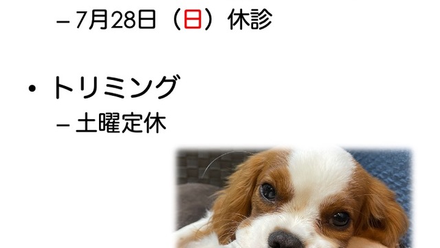 2024年7月の診療情報の画像