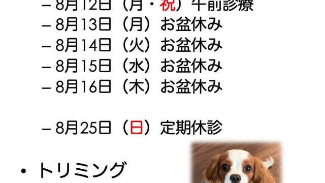 2024年8月の診療情報の画像