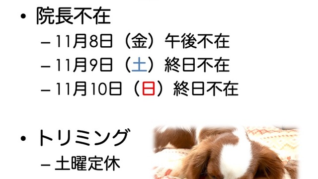 2024年11月の診療情報の画像