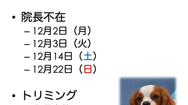 2024年12月の診療情報の画像