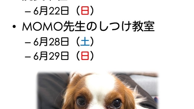 2025年6月の診療情報の画像
