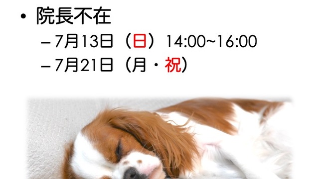 2025年7月の診療情報の画像
