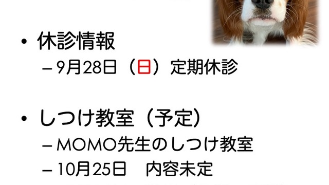 2025年9月の診療情報の画像