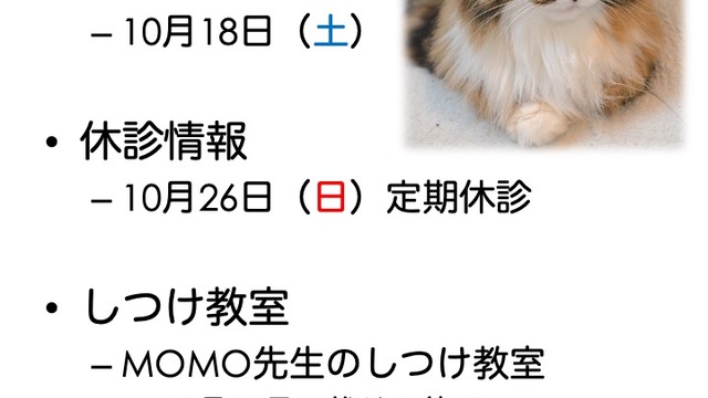 2025年10月の診療情報の画像