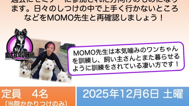 MOMO先生のしつけ教室 vol.4-1「復習しよう」vol.4-2「日常ケア」vol.4-3「個別セミナー」の画像