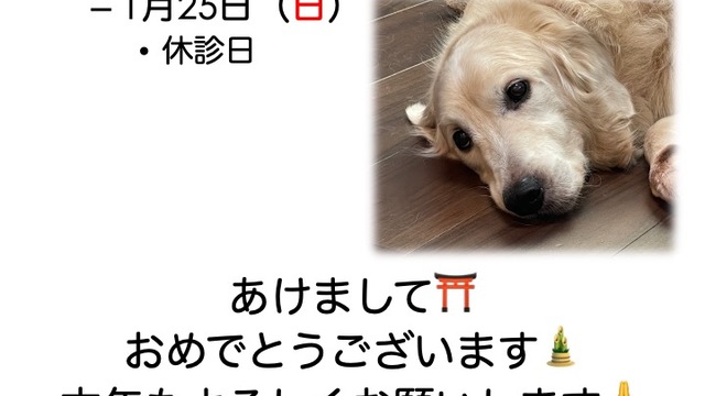 2026年1月の診療情報の画像