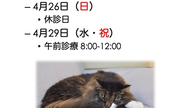 2026年4月の診療情報の画像