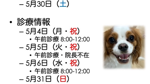 2026年5月の診療情報の画像