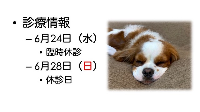 2026年6月の診療情報の画像