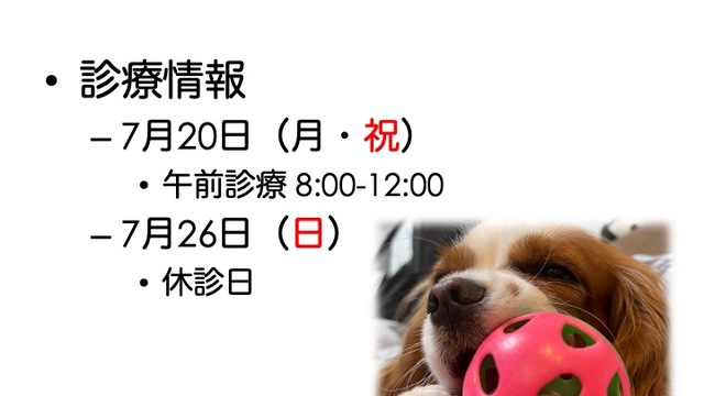 2026年7月の診療情報の画像