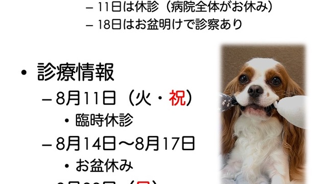 2026年8月の診療情報の画像