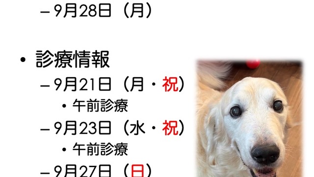 2026年9月の診療情報の画像